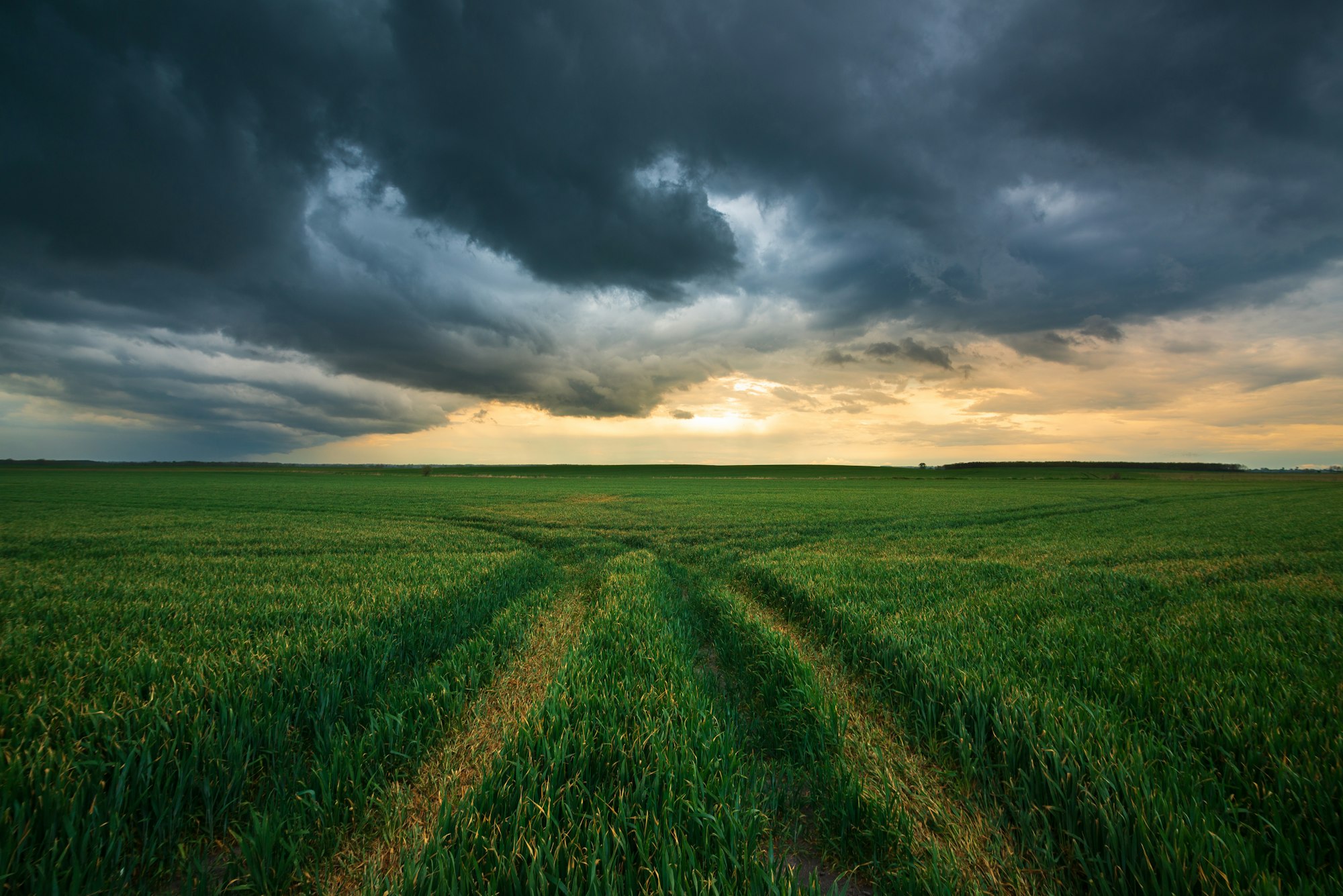 Green field with stormy clouds